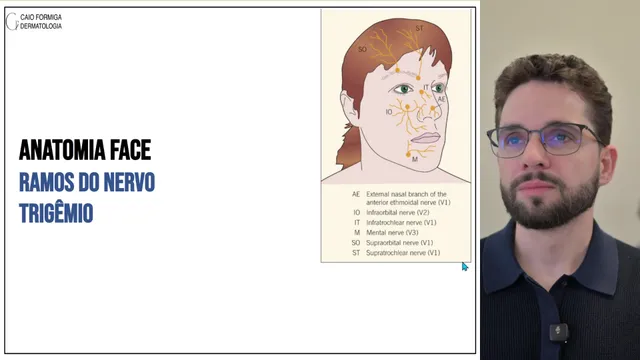 Anatomia: subunidades, linhas de tensão e zonas de perigo
