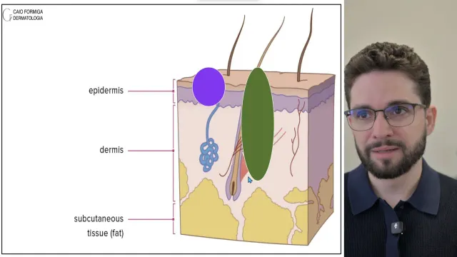 Pele normal: Histopatologia